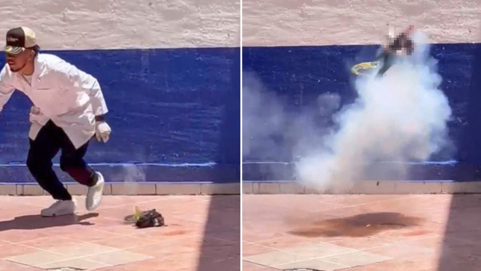 Indignación en México: universitarios hacen explotar a un gato con pirotecnia