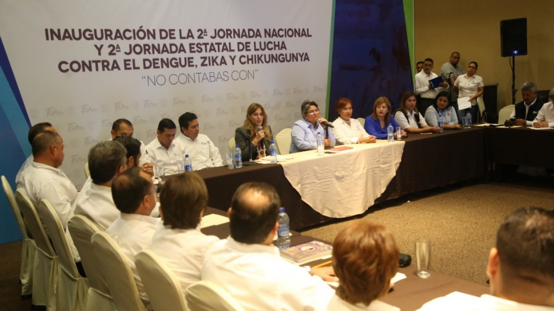 Avances de la lucha contra vectores del dengue, zika y chikungunya son revisados