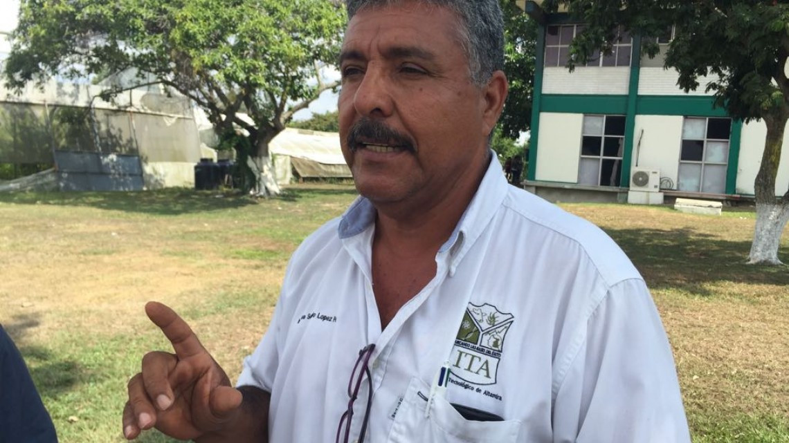 La deforestación afecta más de la mitad de las tierras en la zona sur de Tamaulipas.