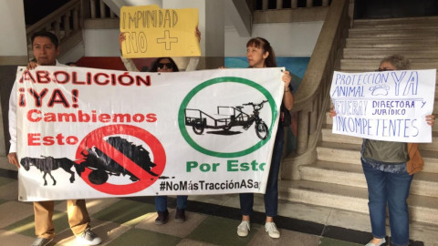 Denuncian ante Contraloría Tampico a pseudo veterinario 