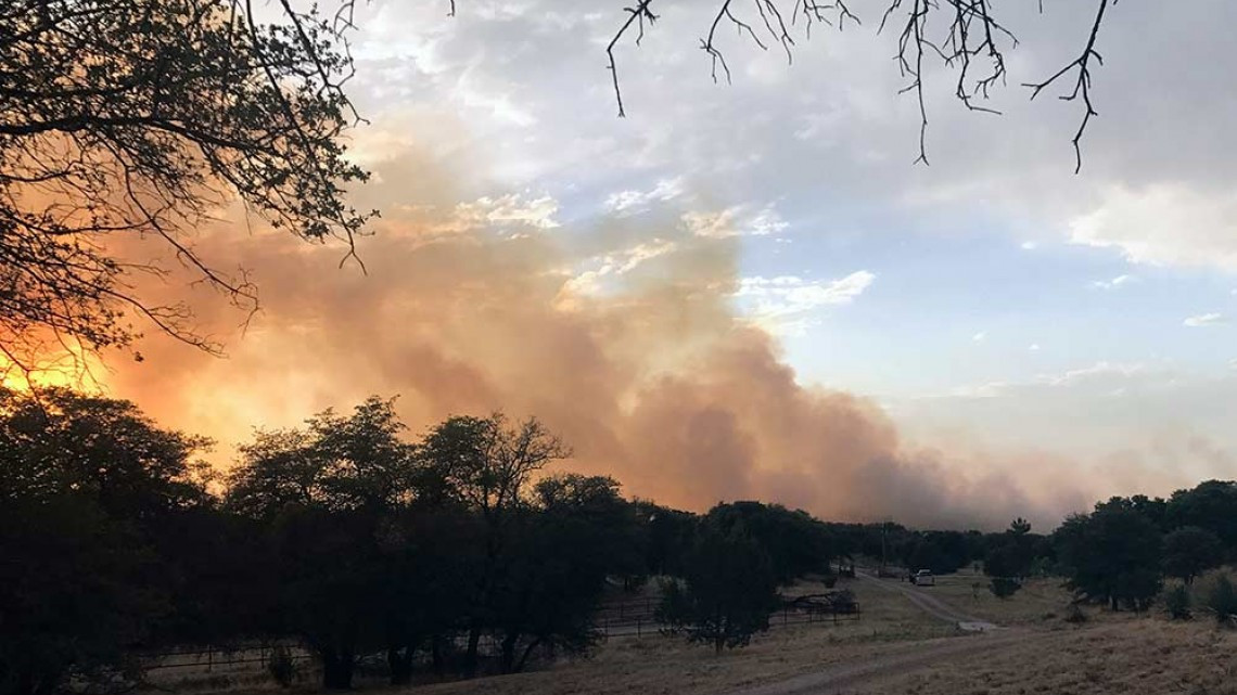 Registran incendio forestal en Bosque Nacional de Prescott