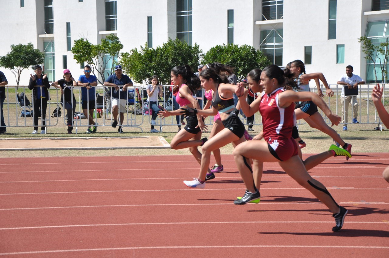 Fase Regional de la Olimpiada 2017 aún sigue 