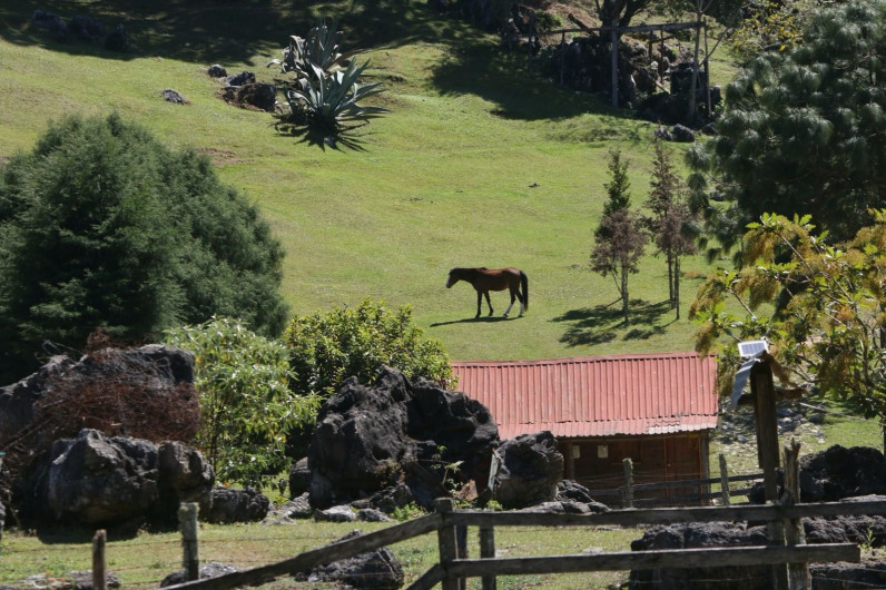 Reafirman compromiso por la biodiversidad en El Cielo