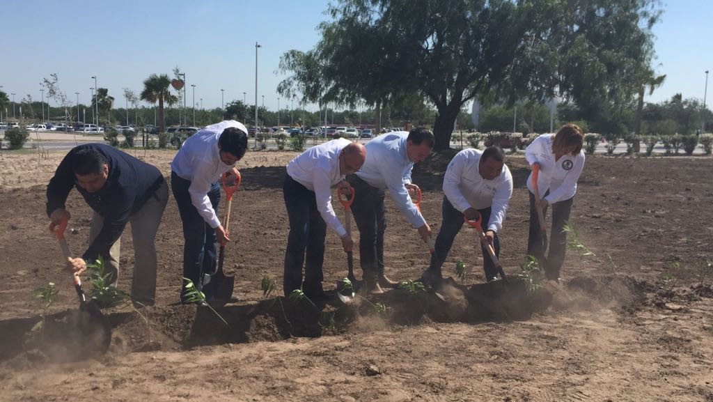 Crean jardín polinizador, ayudará a mariposas monarca