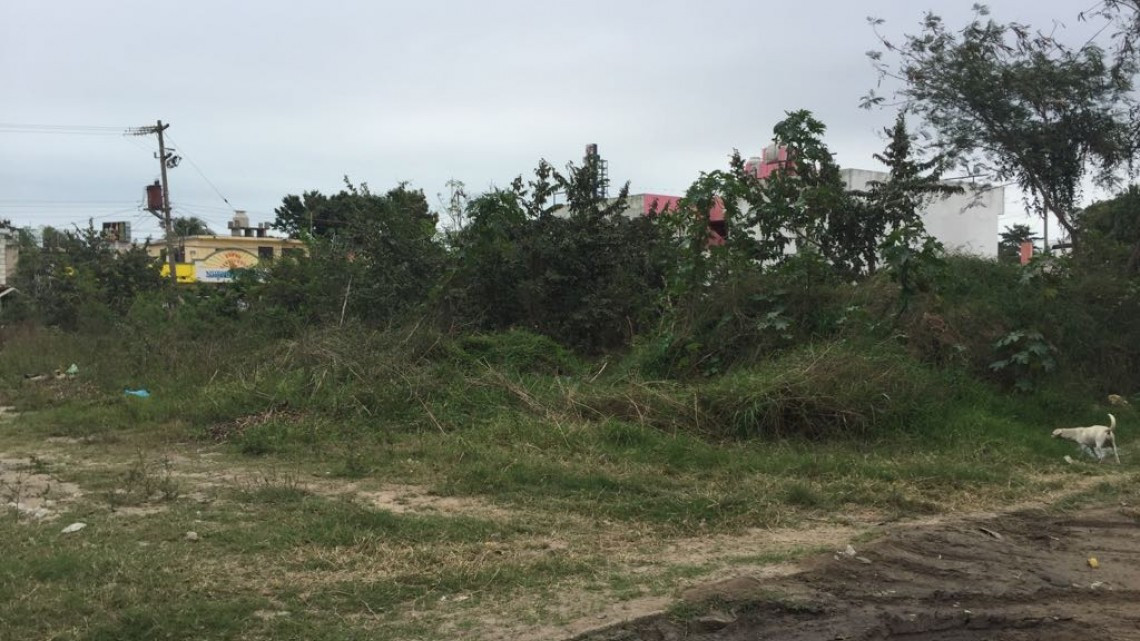 Desechos urbanos en lugares clandestinos, problema serio