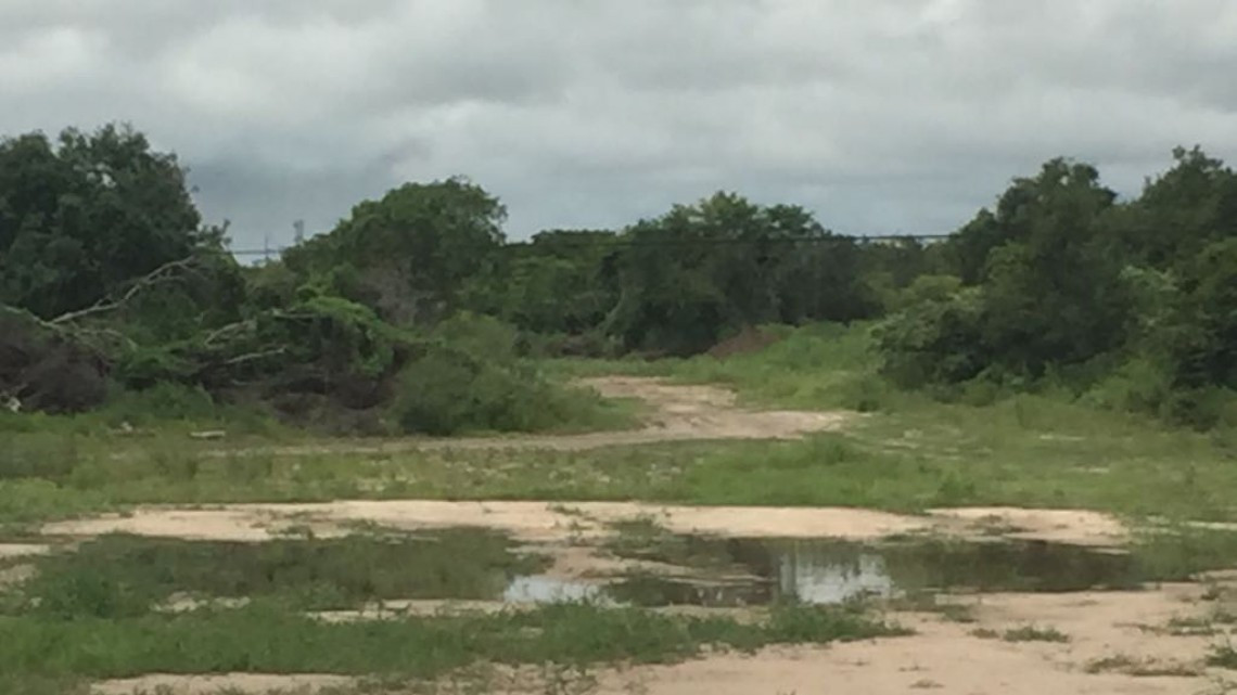 Piden denunciar empresas que rellenan terrenos