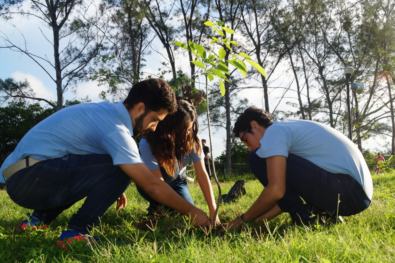 Emprenden en Tampico Jornadas de Reforestación 