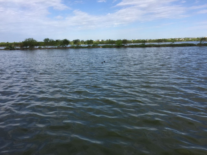 Analizan grado de contaminación de la laguna la escondida