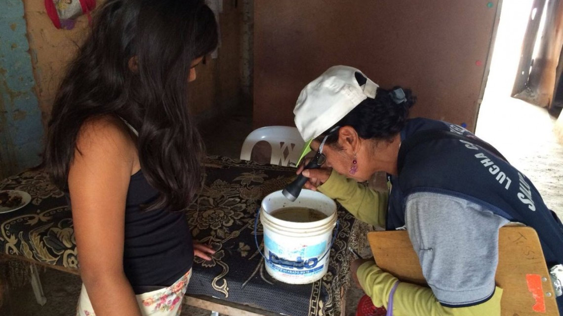 No hay situación de alarma por dengue, zika o chikungunya