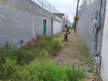 Exhorta Gobierno de Reynosa a evitar abandonar basura en vía pública, baldíos y casas abandonadas