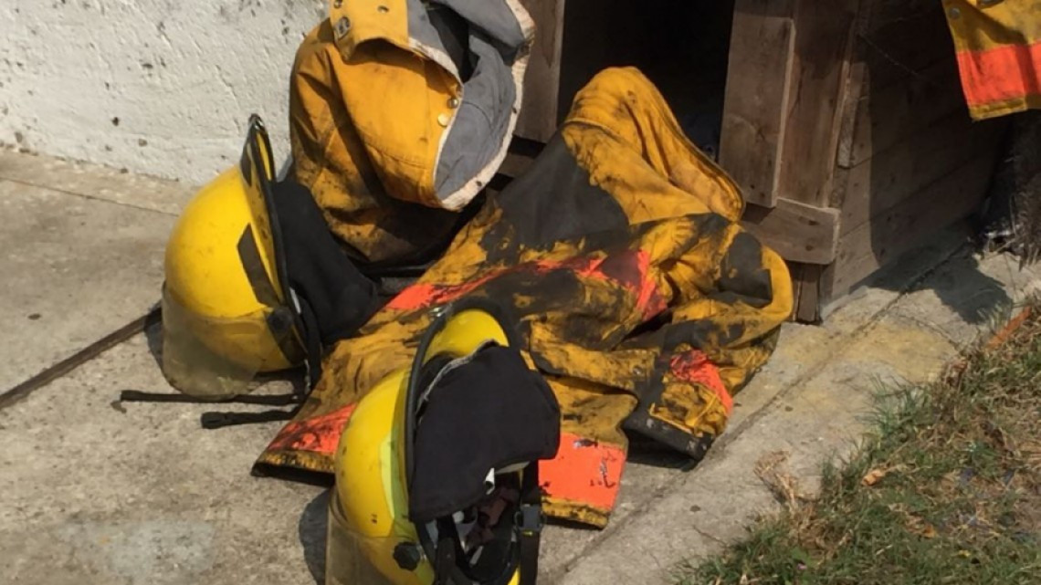 Emitirán sanciones contra empresa TERSA