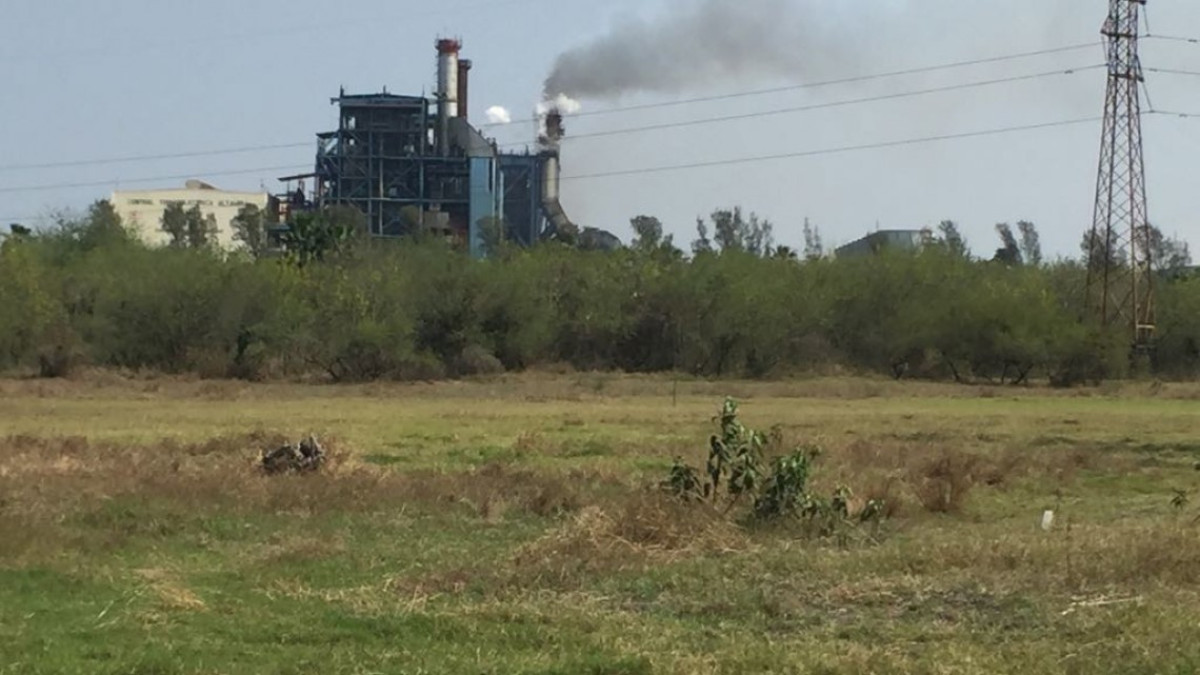 Dan seguimiento a presuntos casos de contaminación de la planta termoeléctrica en estación colonias
