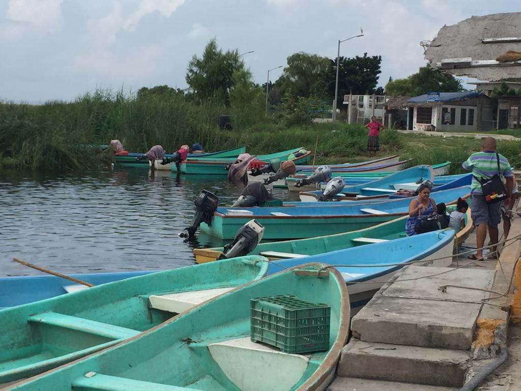 Afecta pez diablo la producción pesquera en lagunas del Sur