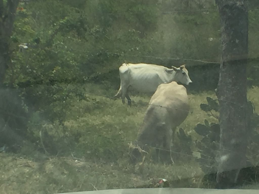 Llevan agua en pipas a zonas rurales afectadas por sequía