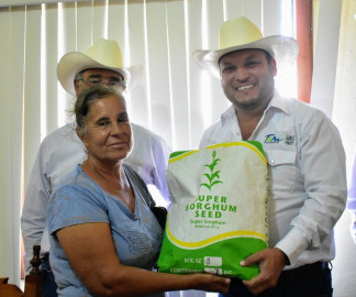Agricultores reciben 11.7 ton de semilla de súper sorgo
