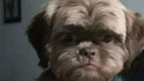 Por corte de pelo, pero queda irreconocible