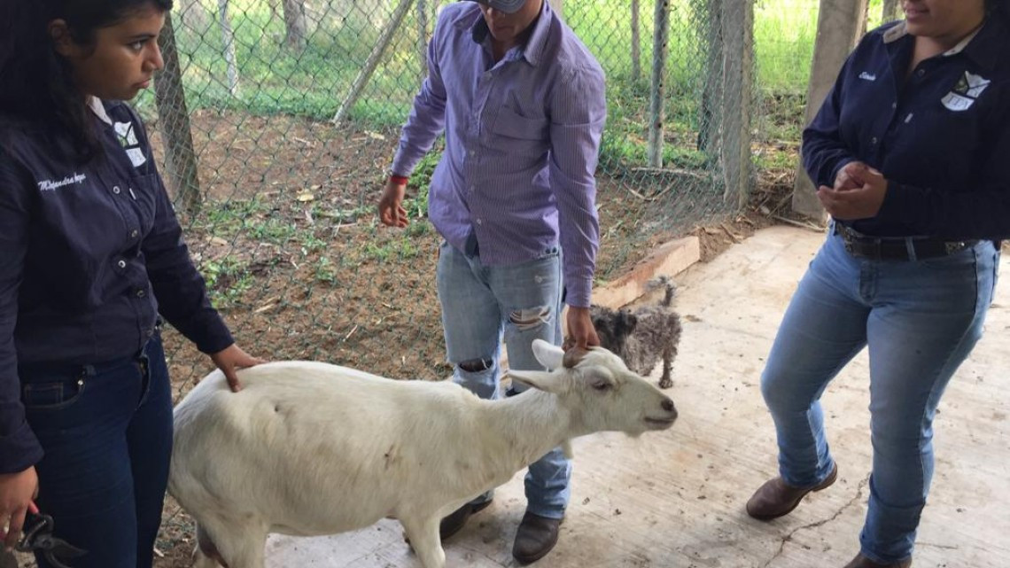 Estudiantes de agronomía, aprenden técnicas para hacer producir el campo en sus distintas modalidades.