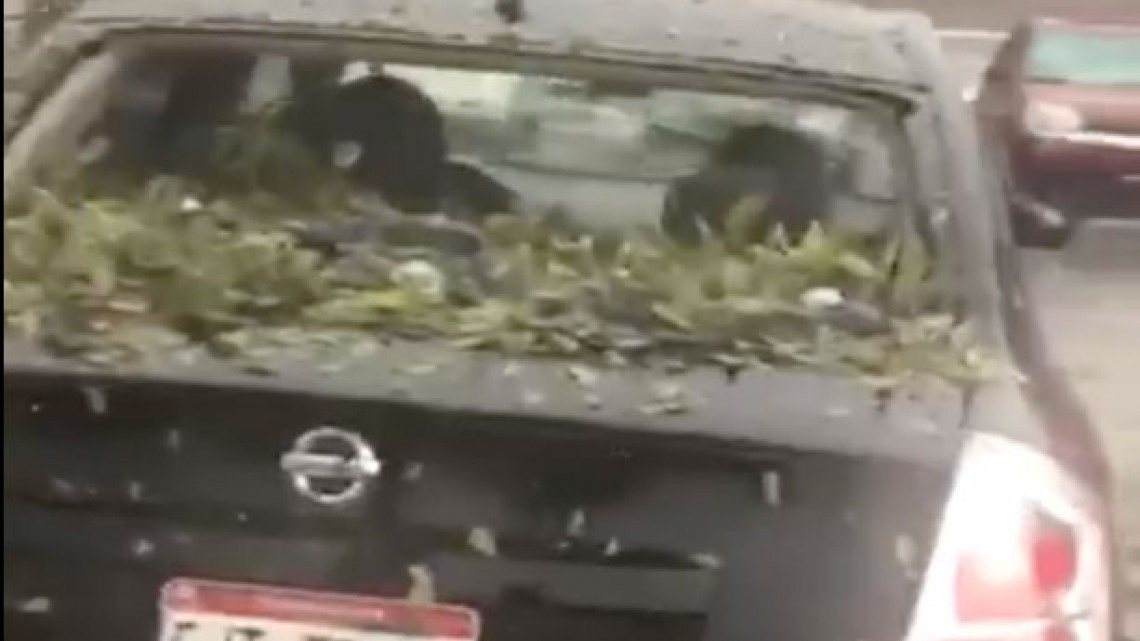 Granizada destroza autos en Chihuahua