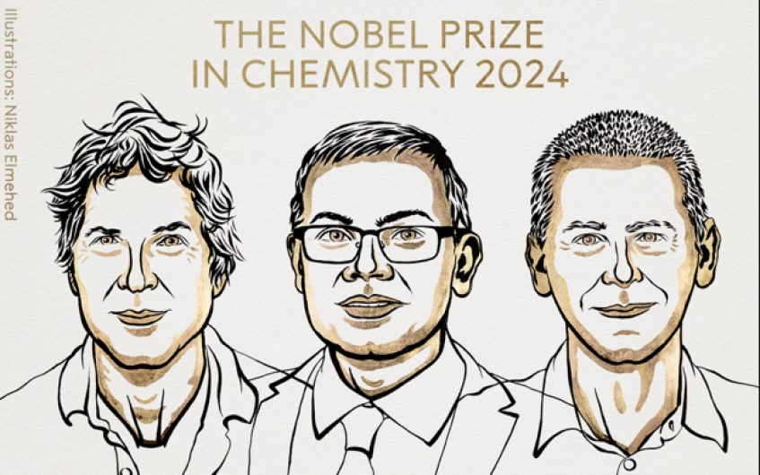 Tres científicos reciben el Nobel de Química por predecir y crear proteínas