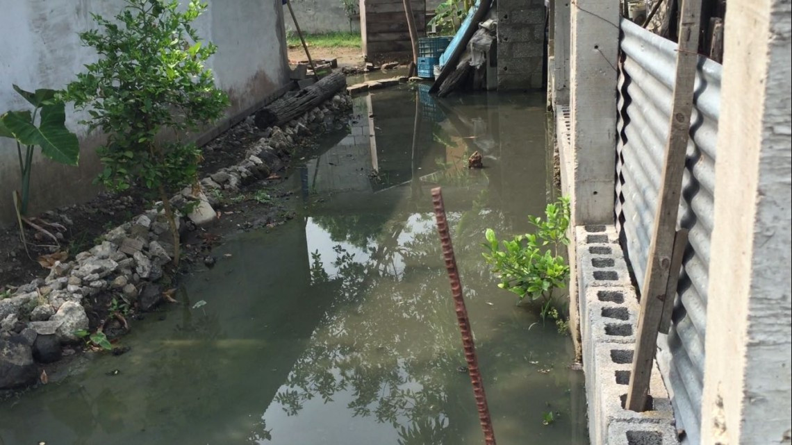 Brotes de aguas negras de más de ocho años en zonas bajas