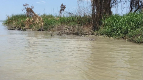 Urge proyecto de captación de agua lluvia en el Champayán y el Tamesí