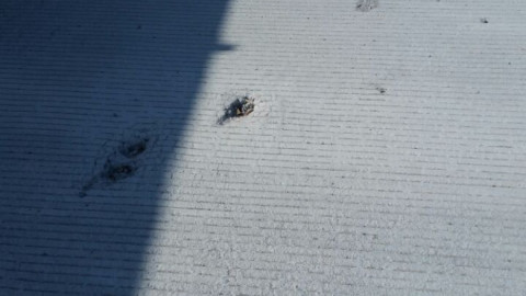 Invita alcaldesa a cuidar infraestructura de la ciudad