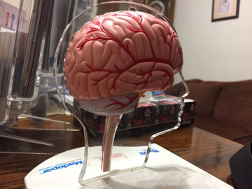 Buscan acreditar Casa de Psiquiatría ante Seguro Popular