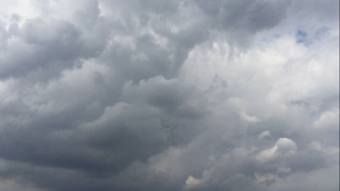 Exceso de lluvias podría afectar cultivos de soya en el sur de Tamaulipas