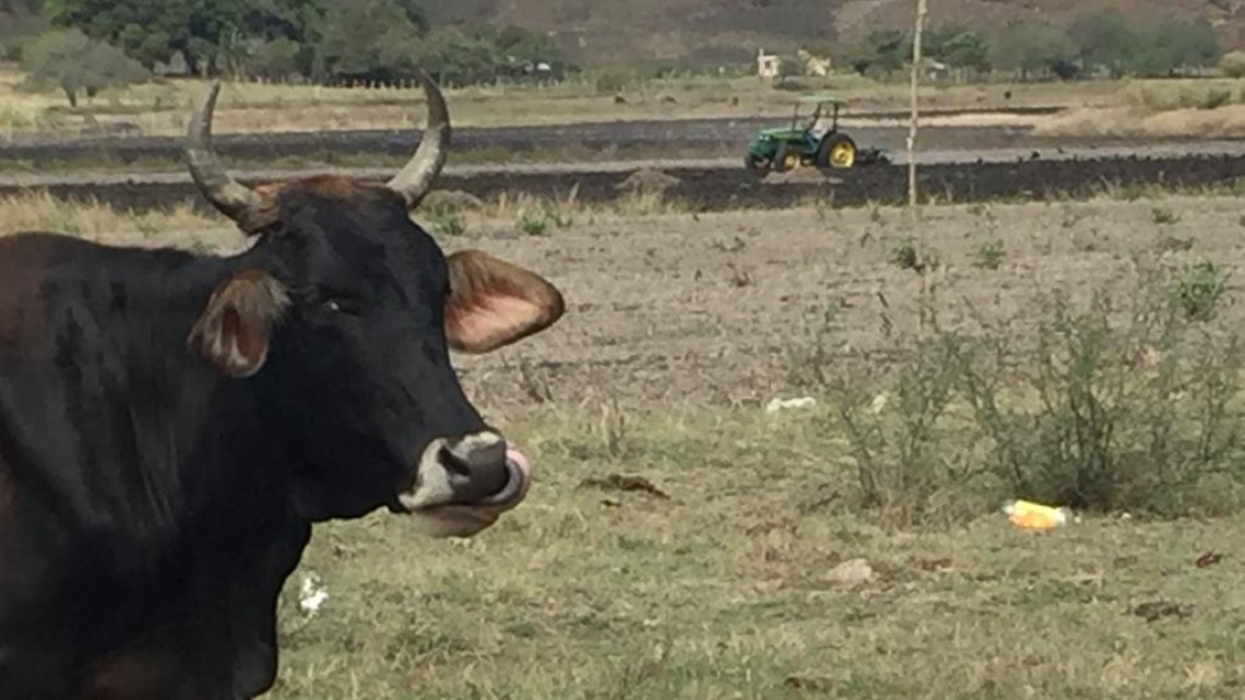 Lamentan recortes del presupuesto para el campo