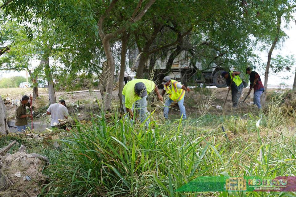 Realizan acciones de limpieza en Libramiento