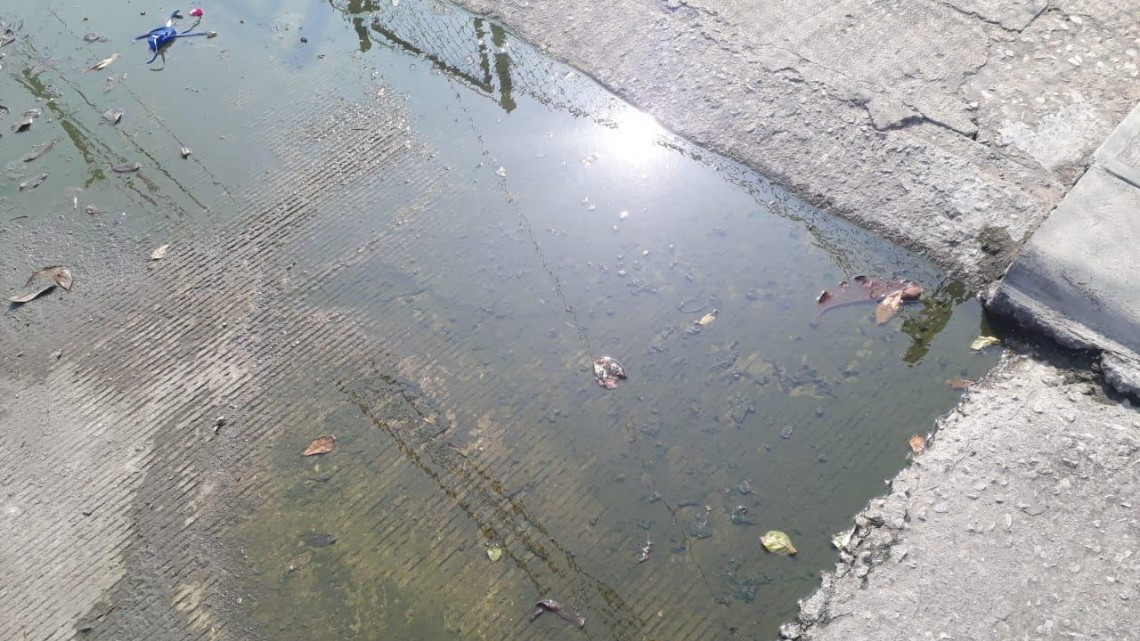 Escurrimiento de aguas negras genera incomodidad en el sector Arboledas de Altamira