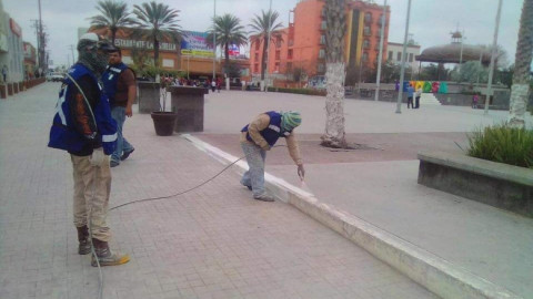 Trabaja Servicios Primarios en repintado de vialidad