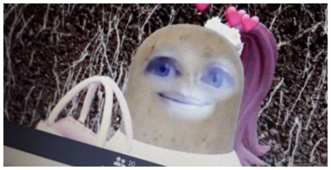  Profesora da clases en Zoom con filtro de cara de papa y viraliza