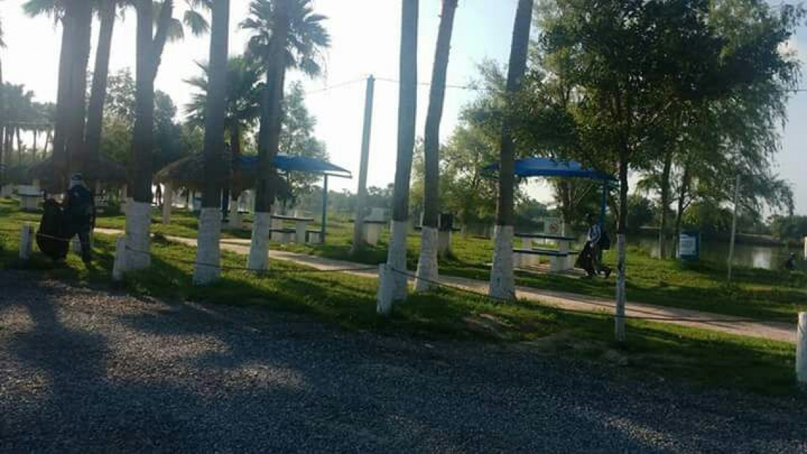 Realizan limpieza de áreas verdes y avenidas principales