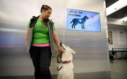 Utiliza Finlandia perros para detectar coronavirus en el aeropuerto 