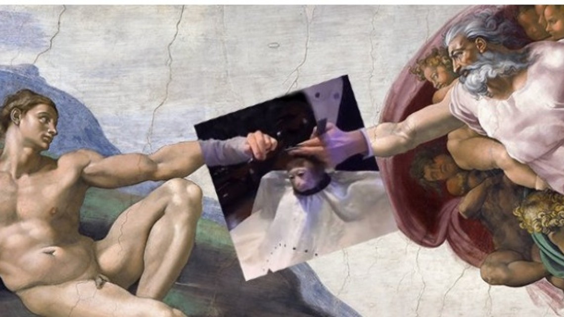 El meme del corte de pelo a un mono que encaja en todo