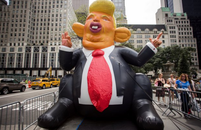 Aparece nueva especie de rata en Nueva York