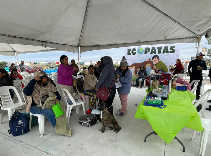 Protección Animal busca reducir la sobrepoblación de perros y gatos