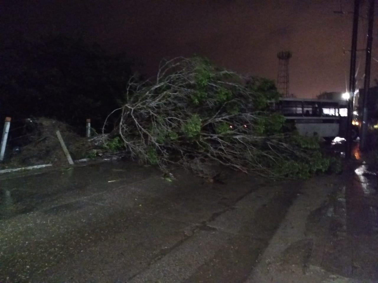 Daños mínimos ha dejado a su paso el frente frío no. 10: Alcalde