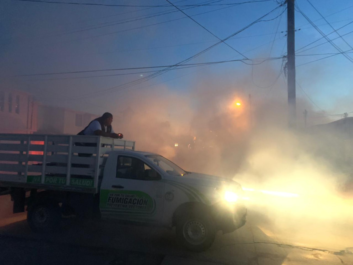 Anuncian inntensa campaña de fumigación 