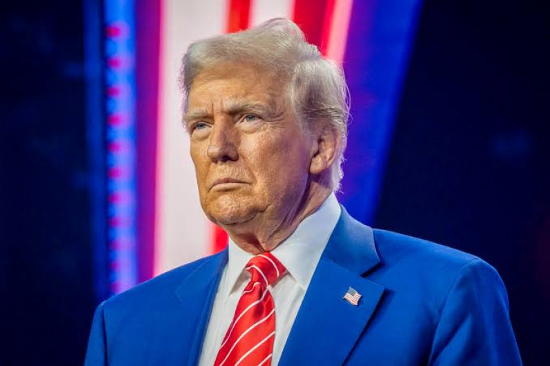 Trump cierra frontera sur para indocumentados: acusa de 'invasión'