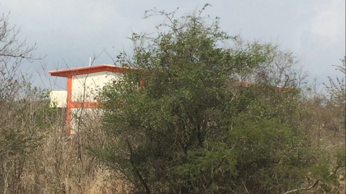 Felino acecha estudiantes de primaria y secundaria en Altamira