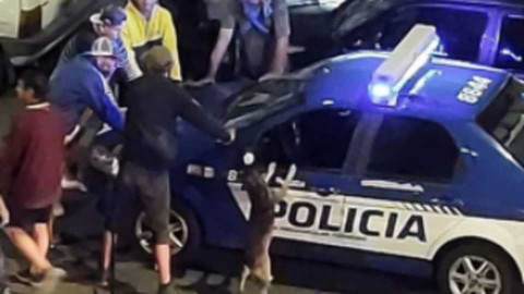 Perrito se para en dos patas tras un operativo de la policía