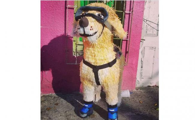 Crean piñata en honor a "Frida"