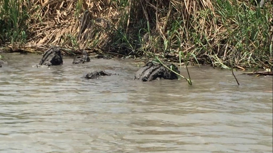 Buscan realizar proyecto para acabar con problema de fuga de agua