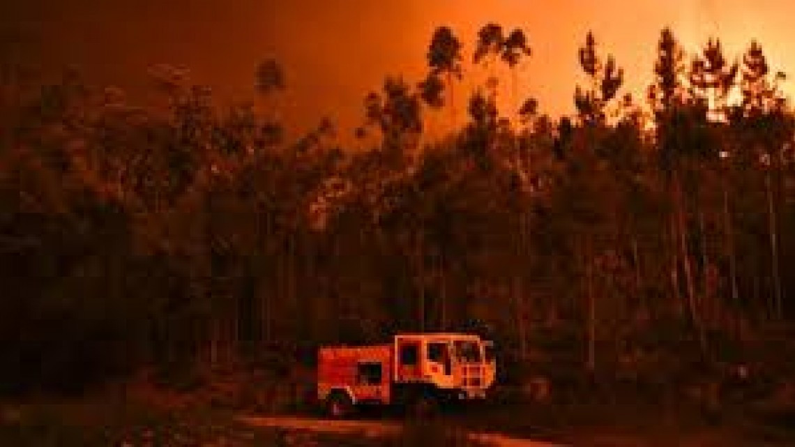 Van 62 muertos por incendio en Portugal
