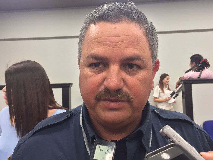 ⁠⁠⁠Aumenta la presencia de serpientes y abejas africanas