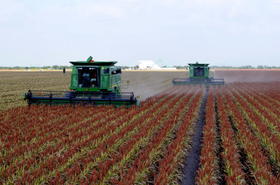 FGCV otorgará apoyos al campo tamaulipeco