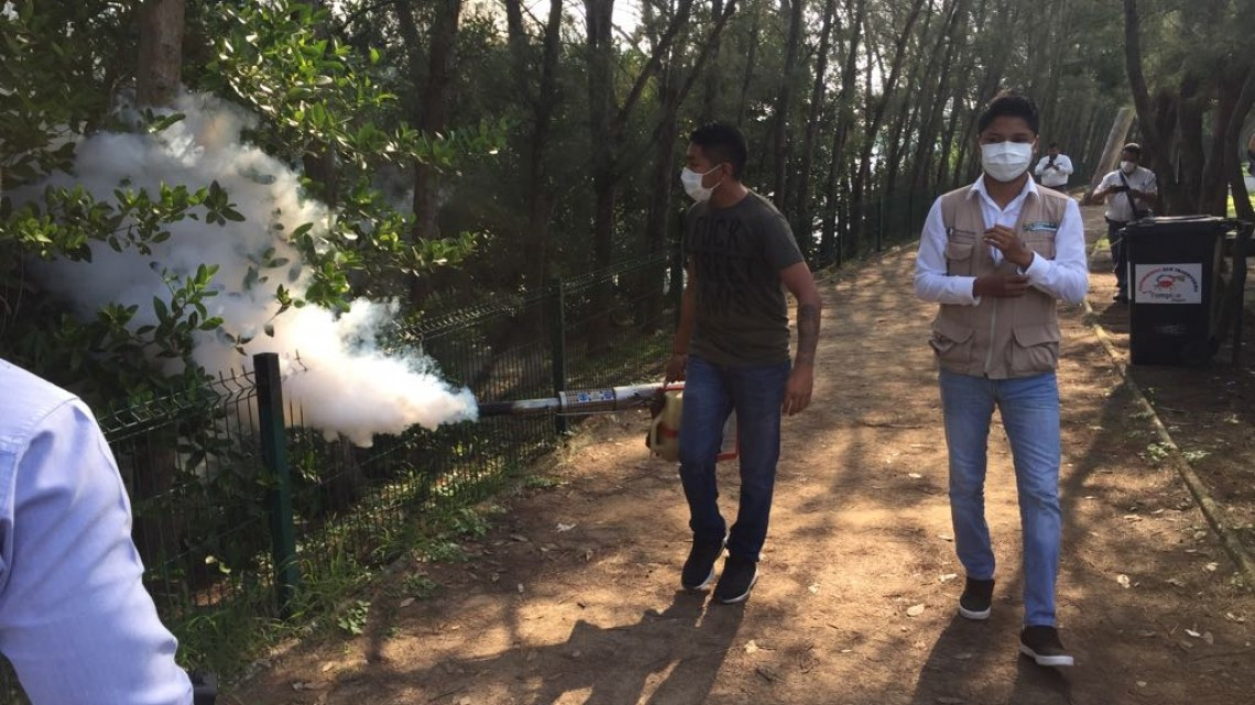 Autoridades aseguran que es baja la incidencia de dengue en Altamira