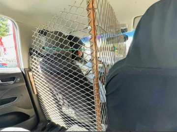 Taxista se viraliza por su peculiar sistema de seguridad 